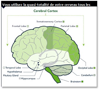 DOMINANCE : MYTHE OU REALITE ? 