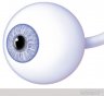 external eye
