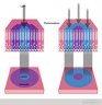 photoreceptors