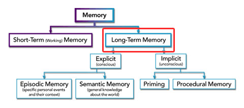 Types Of Long Term Memory