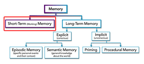 Long Term Memory Chart