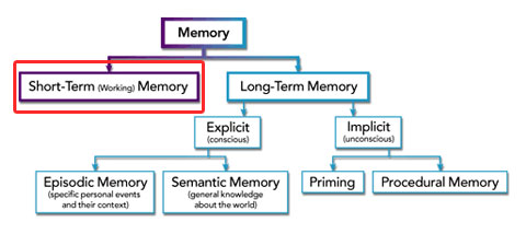 Types Of Memory Chart